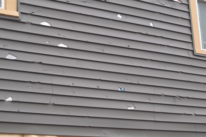 Siding Panel Repair