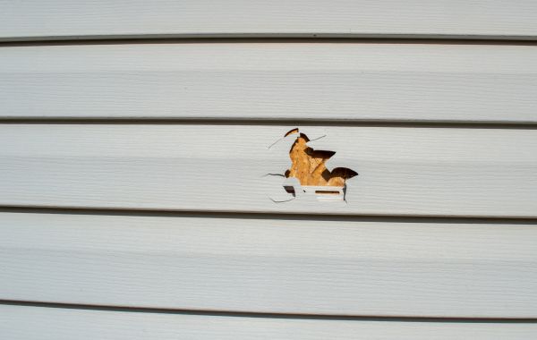 Cost of Siding Hole Repair in Eau Claire