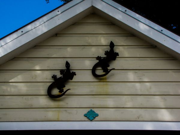 Cost of Shiplap Siding Installation in Eau Claire